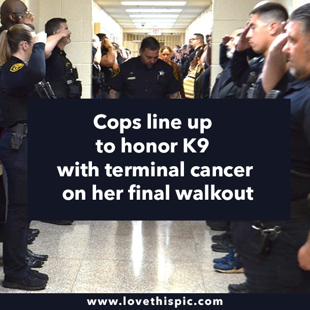 Cops line up to honor K9 with terminal cancer on her final walkout