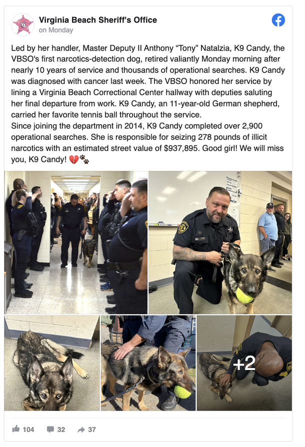 Cops line up to honor K9 with terminal cancer on her final walkout - picture 4