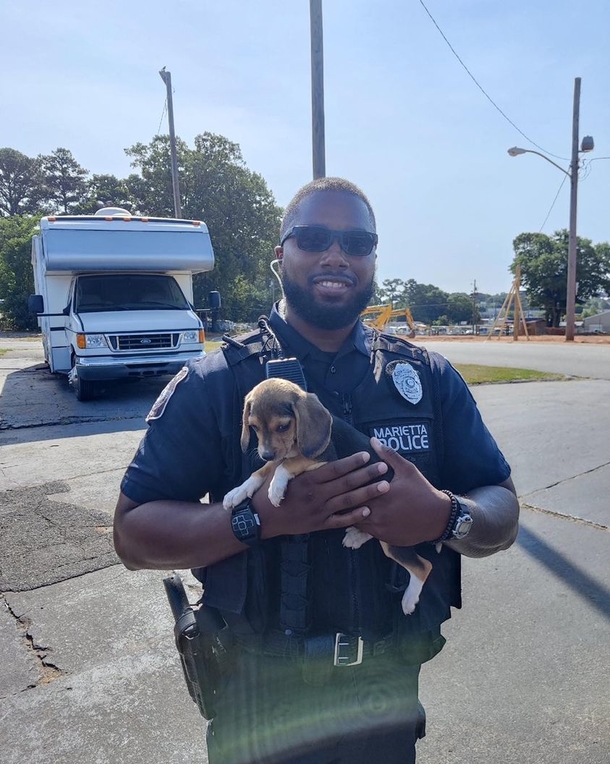 Cops save six runaway puppies from parkway after ‘prison break’ - picture 2