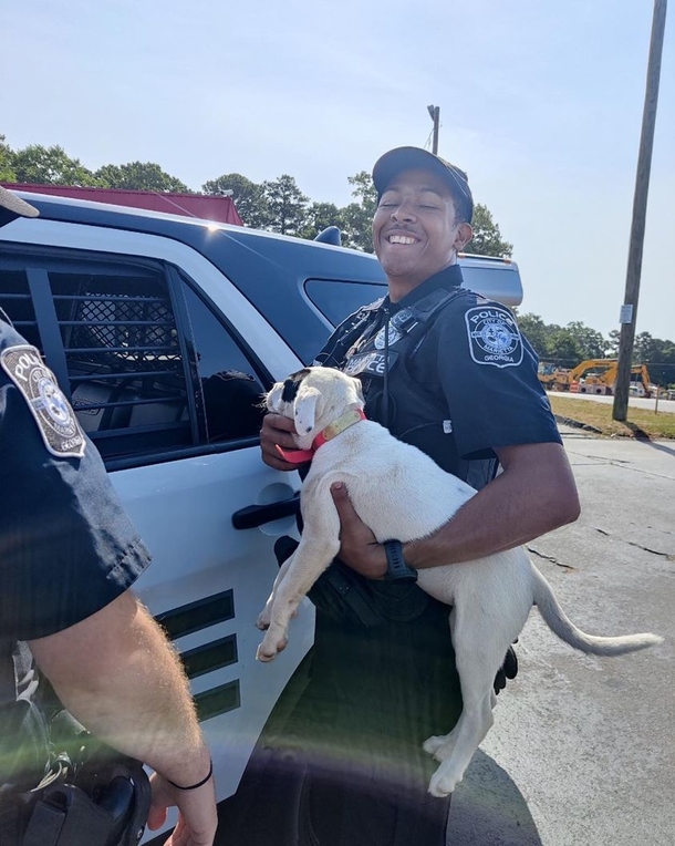Cops save six runaway puppies from parkway after ‘prison break’ - picture 4