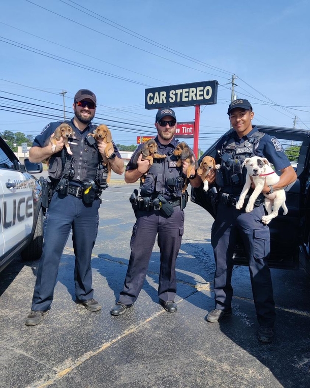 Cops save six runaway puppies from parkway after ‘prison break’ - picture 5