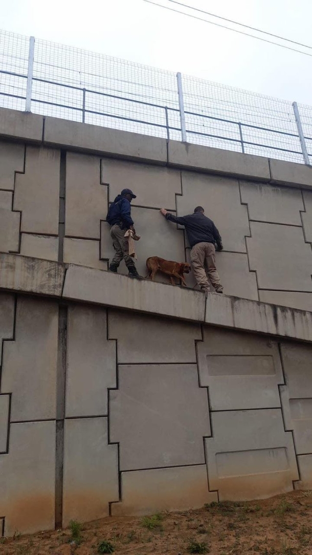 Cops Save Stranded Dog From Scary Bridge Situation - picture 2