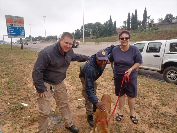 Cops Save Stranded Dog From Scary Bridge Situation - picture 3