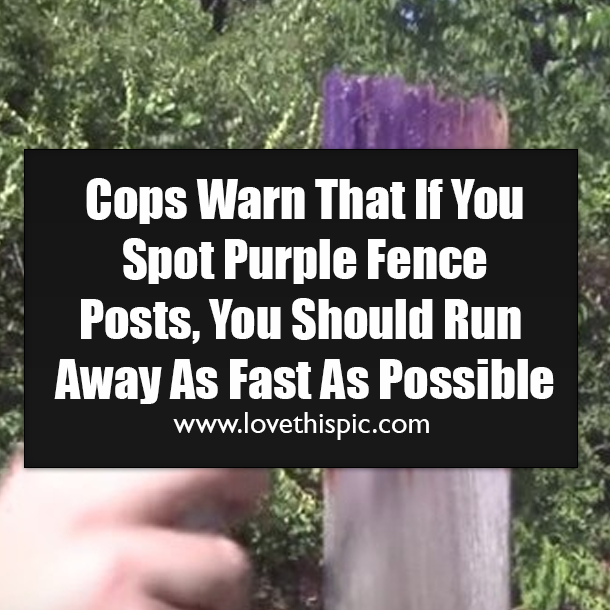 Cops Warn That If You Spot Purple Fence Posts, You Should Run Away As Fast As Possible