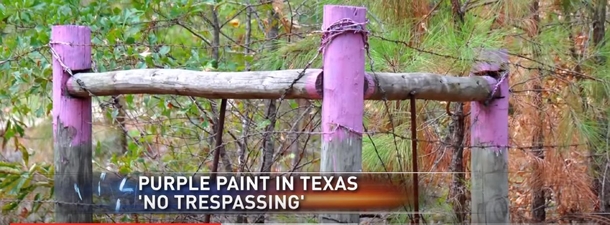 Cops Warn That If You Spot Purple Fence Posts, You Should Run Away As Fast As Possible - picture 2