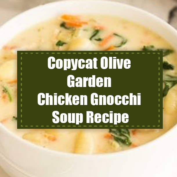 Copycat Olive Garden Chicken Gnocchi Soup Recipe