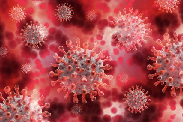 Coronavirus cases are rising in California & multiple other states, report claims - picture 2