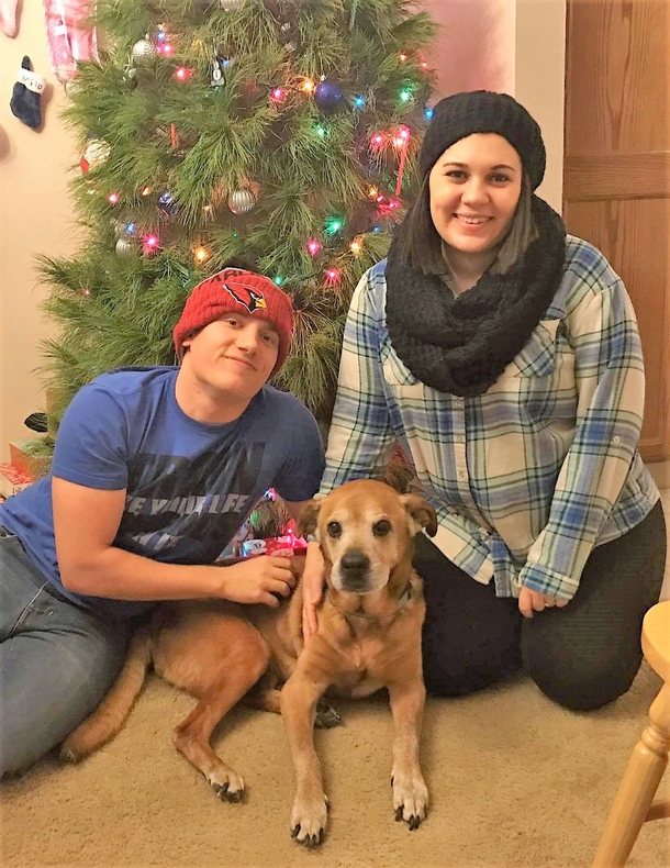 Couple adopts lovely 17-year-old dog from shelter, he stays alive long enough to meet human sister - picture 4