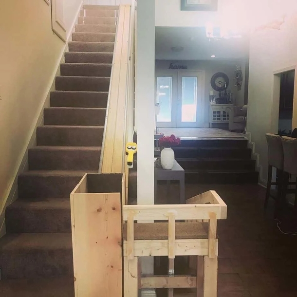 Couple Builds Custom Stairlift for their Three Elderly Rescue Dogs Unable to Climb Stairs - picture 3