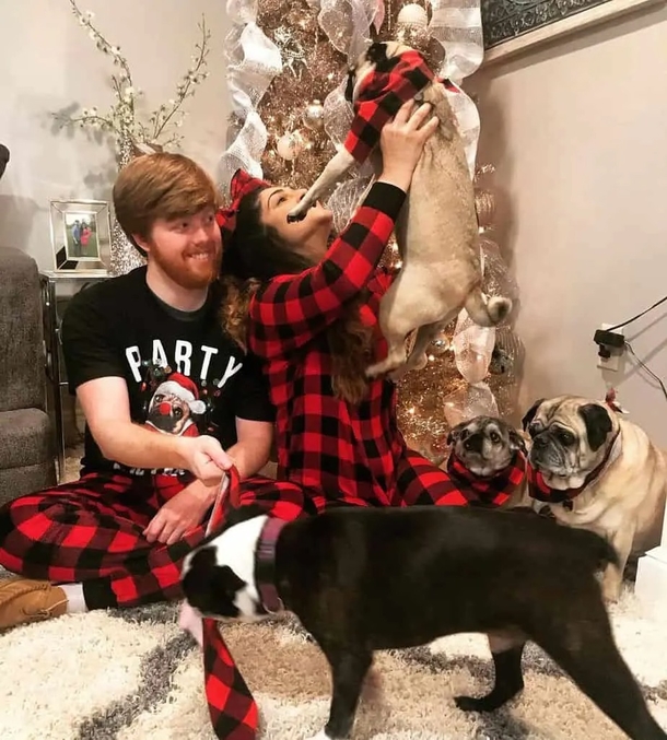 Couple Builds Custom Stairlift for their Three Elderly Rescue Dogs Unable to Climb Stairs - picture 5