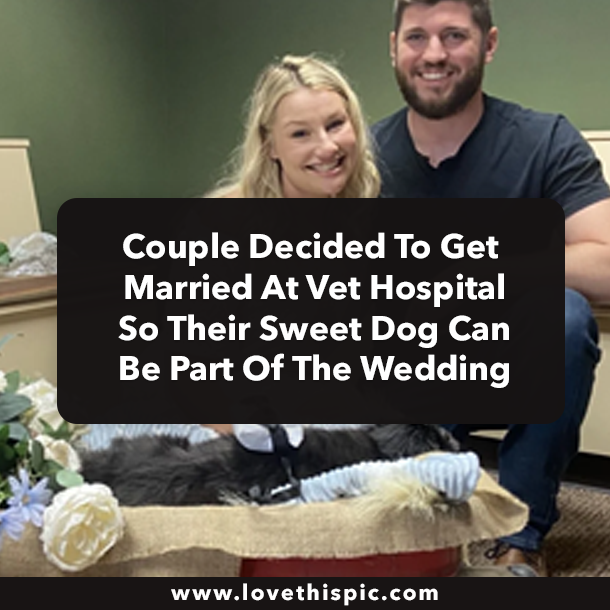 Couple Decided To Get Married At Vet Hospital So Their Sweet Dog Can Be Part Of The Wedding