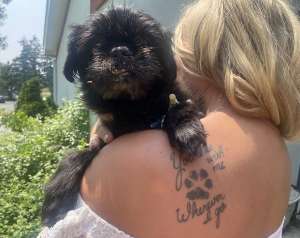 Couple Decided To Get Married At Vet Hospital So Their Sweet Dog Can Be Part Of The Wedding - picture 4