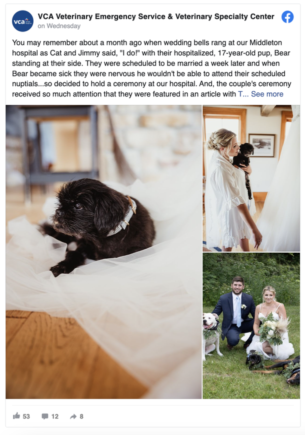 Couple Decided To Get Married At Vet Hospital So Their Sweet Dog Can Be Part Of The Wedding - picture 5