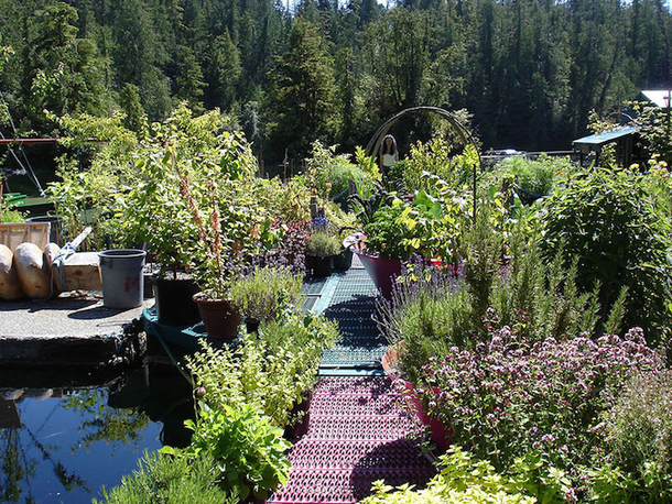 Couple Lives Off-the-Grid In A Floating Self Sustaining Home - picture 5