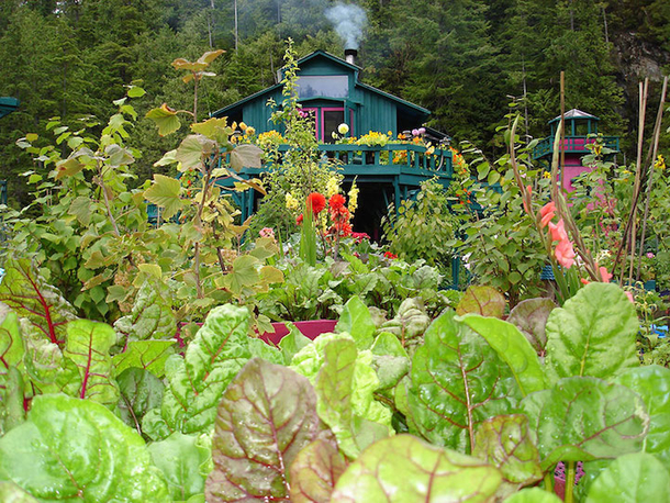Couple Lives Off-the-Grid In A Floating Self Sustaining Home - picture 7