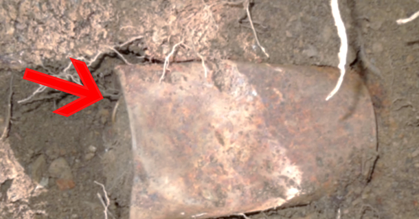Couple stumbled upon a rusty can in their yard, and instantly started shaking when they opened it up - picture 2