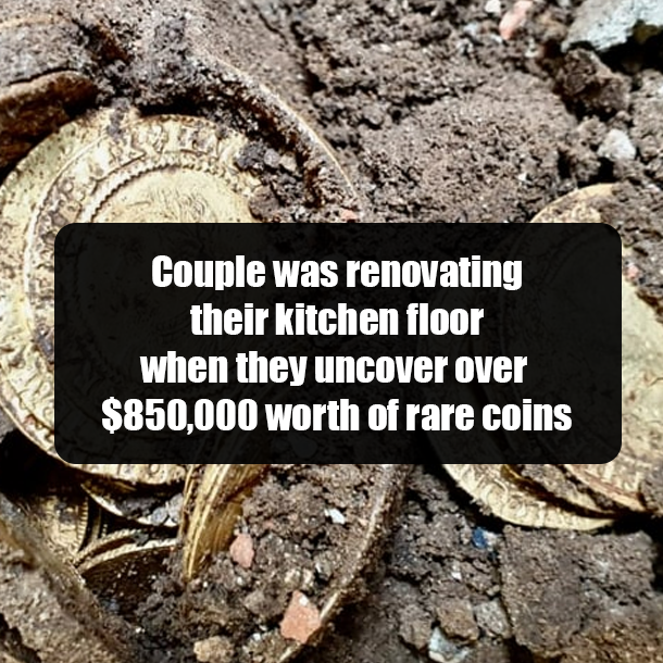 Couple was renovating their kitchen floor when they uncover over $850,000 worth of rare coins