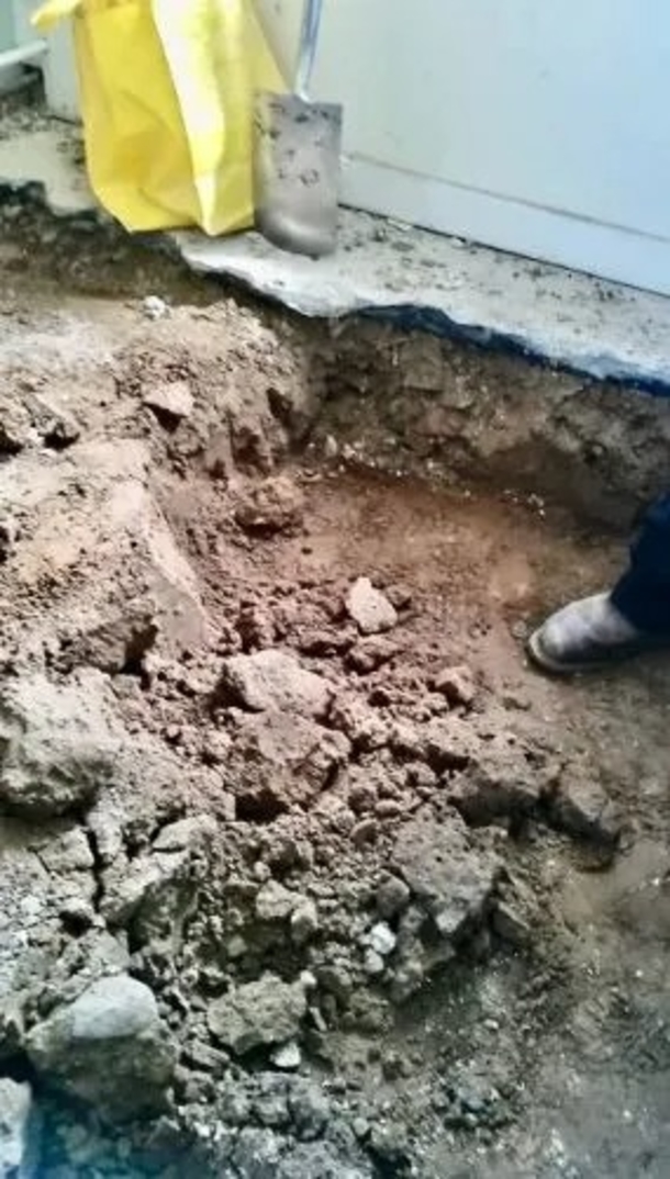 Couple's Kitchen Renovation Unearths 246 Rare Gold Coins Valued at Over $800,000 - picture 3