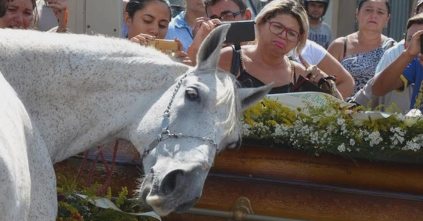 Cowboy dies unexpectedly. After his horse smells the casket you’ll never doubt animals feel grief too - picture 2