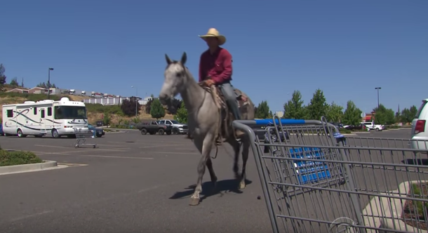 Cowboy Hears Woman Scream When Thief Robs Her, Proceeds To Lasso Thief In Parking Lot - picture 2