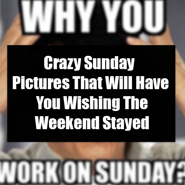 Crazy Sunday Pictures That Will Have You Wishing The Weekend Stayed