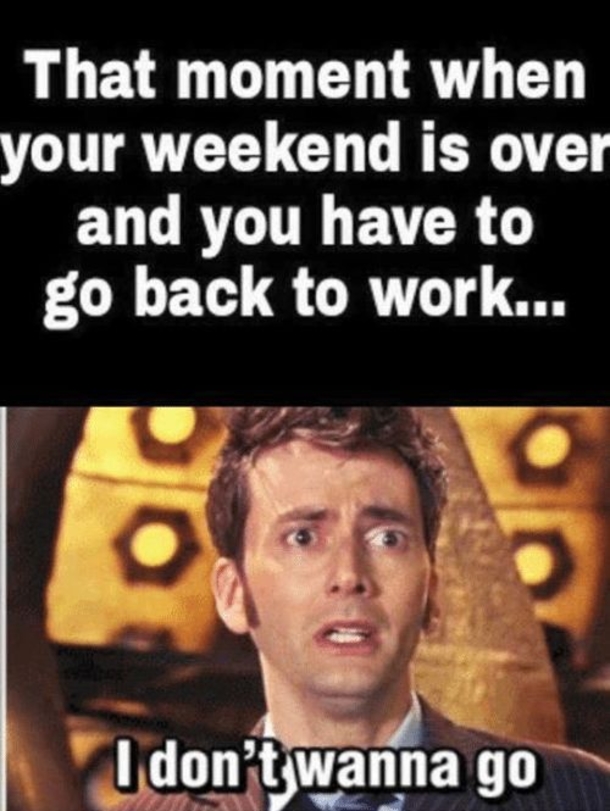 Crazy Sunday Pictures That Will Have You Wishing The Weekend Stayed - picture 11
