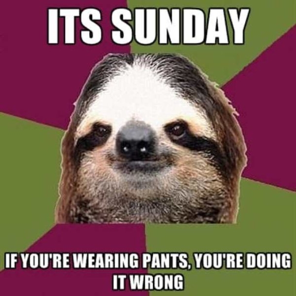 Crazy Sunday Pictures That Will Have You Wishing The Weekend Stayed - picture 7