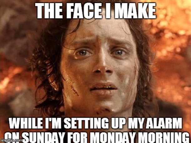 Crazy Sunday Pictures That Will Have You Wishing The Weekend Stayed - picture 8