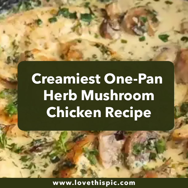 Creamiest One-Pan Herb Mushroom Chicken Recipe