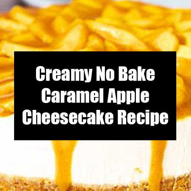 Creamy No Bake Caramel Apple Cheesecake Recipe