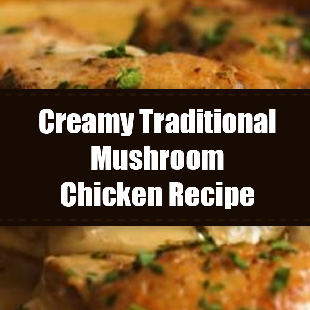 Creamy Traditional Mushroom Chicken Recipe