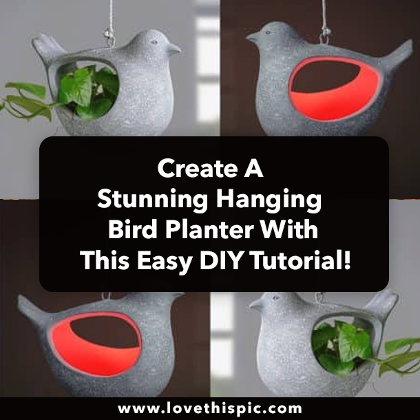 Create A Stunning Hanging Bird Planter With This Easy DIY Tutorial!