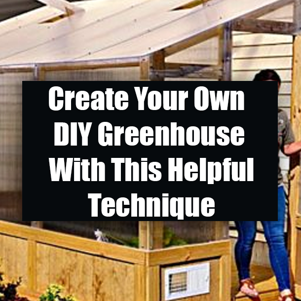 Create Your Own DIY Greenhouse With This Helpful Technique
