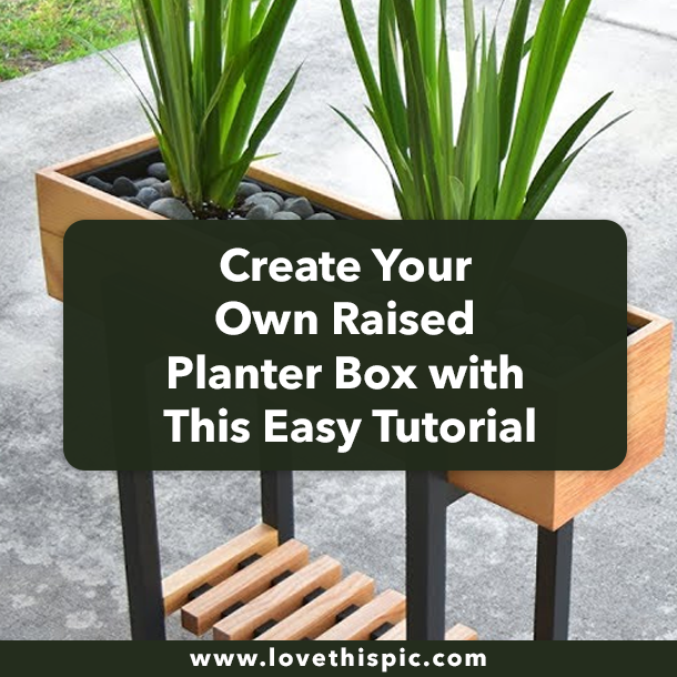 Create Your Own Raised Planter Box with This Easy Tutorial