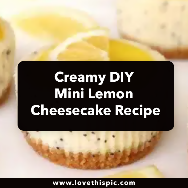 Cremy DIY Mini Lemon Cheesecake Recipe