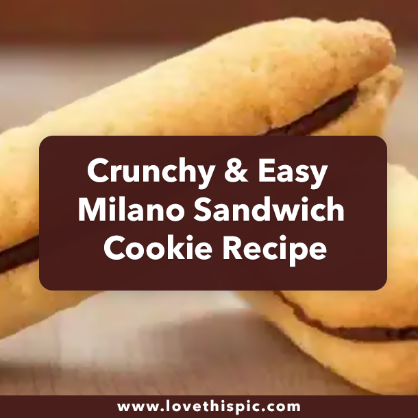 Crunchy & Easy Milano Sandwich Cookie Recipe (2023)