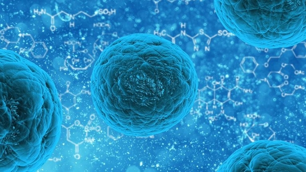 Cryo Stem Cell Breakthrough Could Help Save Your Child's Teeth To Save Lives - picture 2