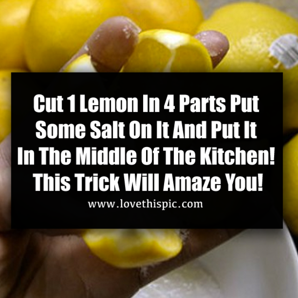 Cut 1 Lemon In 4 Parts Put Some Salt On It And Put It In The Middle Of The Kitchen! This Trick Will Amaze You!