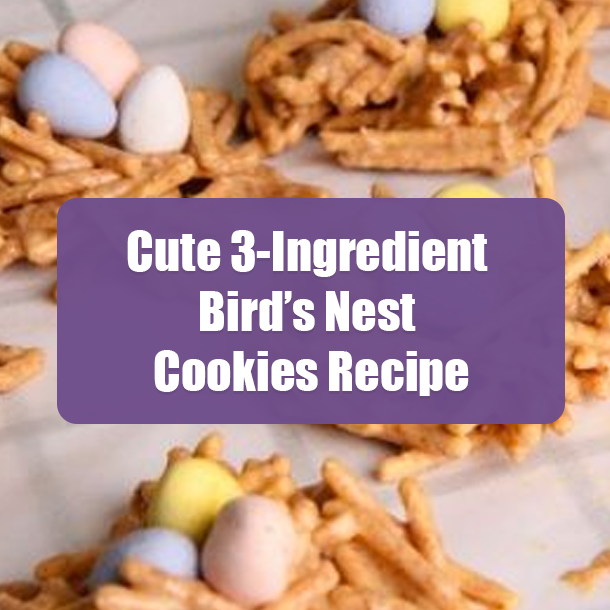 Cute 3-Ingredient Bird’s Nest Cookies Recipe
