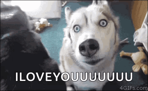 Cute Animated Quotes That Say "I Love You" - picture 4