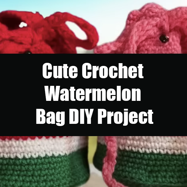 Cute Crochet Watermelon Bag DIY Project
