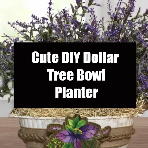 Cute DIY Dollar Tree Bowl Planter