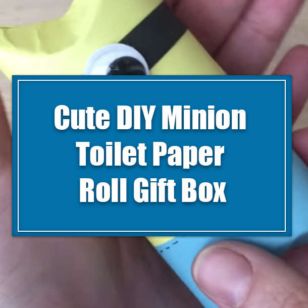 Cute DIY Minion Toilet Paper Roll Gift Box