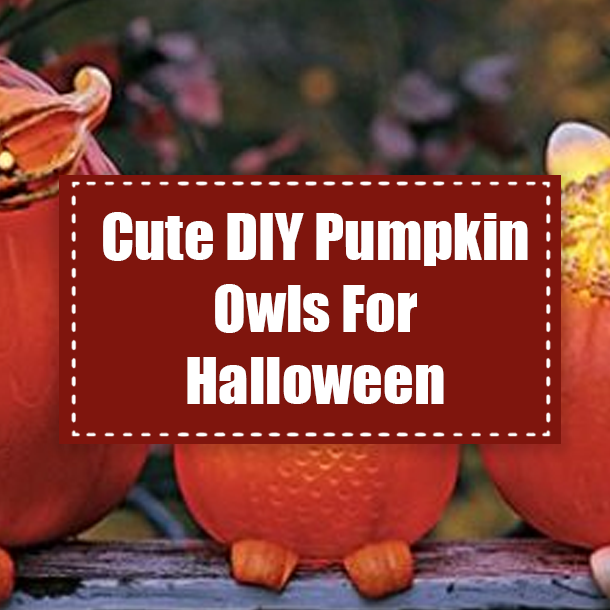 Cute DIY Pumpkin Owls For Halloween