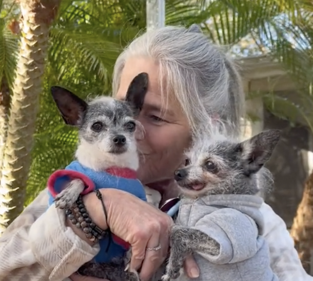 Cute Dog goes back to shelter after four months because she wanted to sleep in owner’s bed — now has a new home - picture 4
