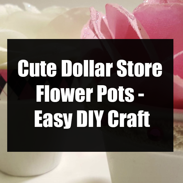 Cute Dollar Store Flower Pots - Easy DIY Craft