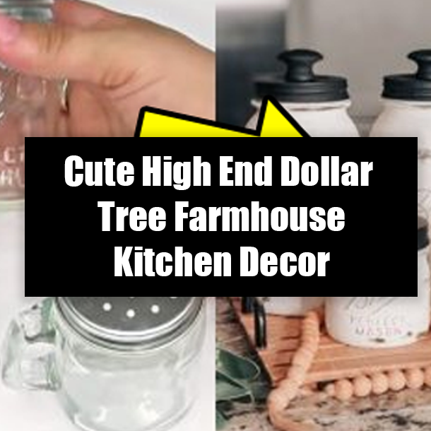 Cute High End Dollar Tree Farmhouse Kitchen Decor