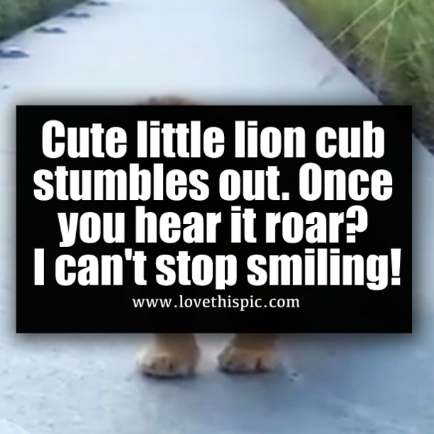 Cute little lion cub stumbles out. Once you hear it roar? I can't stop smiling!