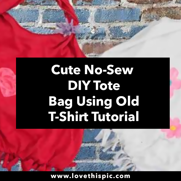 Cute No-Sew DIY Tote Bag Using Old T-Shirt Tutorial