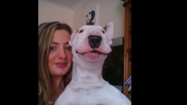 Cute Terrier Puppy Sits With Her Owner Until Her Favorite Song Comes On! This Is Hilarious! (Video) - picture 2
